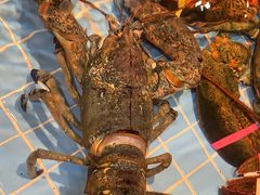 -79号渔船海鲜饭店(宝安店)