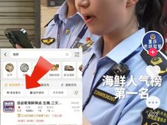 -约翰·菲茨杰拉德·肯尼迪国际机场