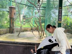 -海南热带野生动植物园