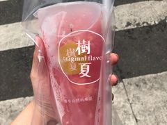 -树夏(建设路店)