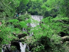 -藏龙百瀑风景区