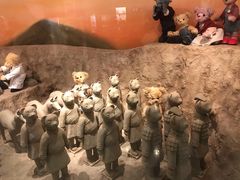 -济州岛泰迪熊博物馆