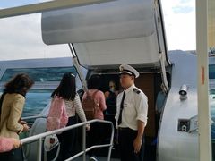 -台场海滨公园船码头