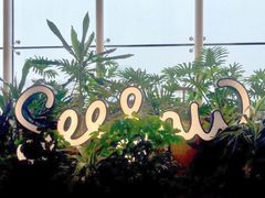 -Seesaw Coffee(朝阳大悦城店)