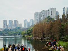 -重庆彩云湖湿地公园