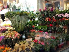 -花草间花行(法华镇路店)