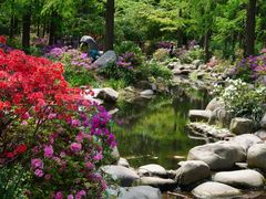 -上海共青森林公园