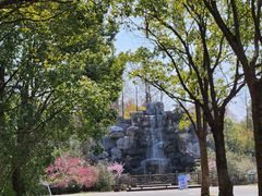 -上海海湾国家森林公园