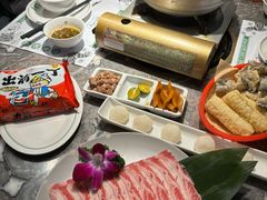-禄婶鸡煲·打边炉