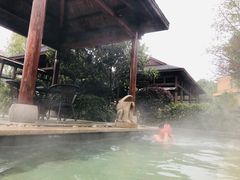 -咸宁万豪温泉谷度假区