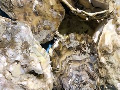 -熙成烧烤·三十三年(开发区店)