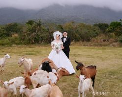 -麦田·婚纱摄影(天河新天地店)