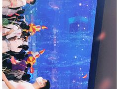 -成都浩海立方海洋公园