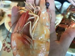 -花乐餐厅(涠洲岛店)