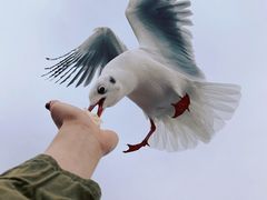 -滇池海埂公园