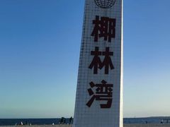 -东郊椰林
