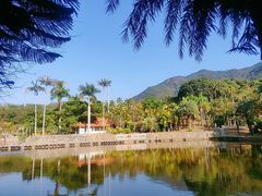 -深圳仙湖植物园