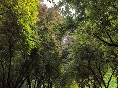 -木塔寺遗址生态公园
