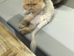 -小时光咖啡馆(开森度假森林店)