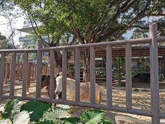 -南宁市动物园