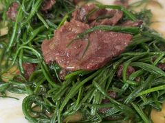 -撒拉人家.酸菜牦牛肉火锅