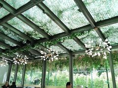 -香蜜轩·粤菜·宴会(世界之窗店)