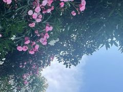 -南汇新城海滩
