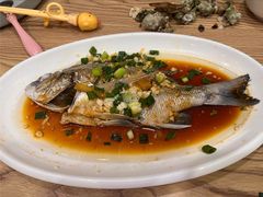 葱油真鲷鱼-包不同知味(嵊泗店)