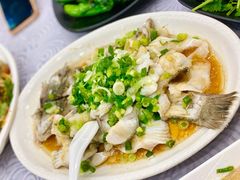 香葱淋鲈鱼-粤·向群饭店(龙津东路总店)