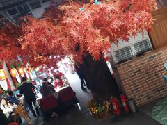 -雲蜀龙阁·金牌水煮鱼(方庄店)