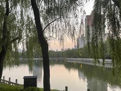 -迎泽公园