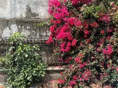 -素咫咖啡CLIFEROSE(新安店)