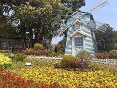 -铁山坪森林公园