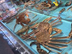 -宝轩渔府·老字号海鲜·正宗津菜(水上店)