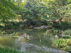 -中国茶叶博物馆(双峰馆区)