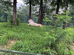 -秦皇岛野生动物园