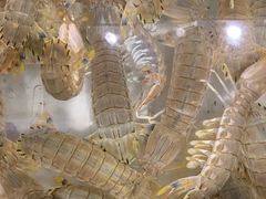 -山海经·海边人家 海鲜新青岛菜(扬州路店)