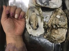 -蚝专家