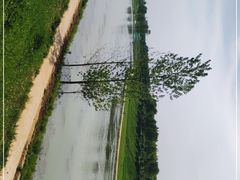-洨河生态公园