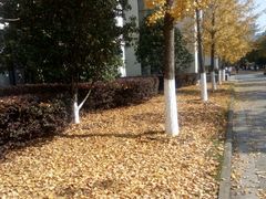 -江南大学(蠡湖校区)