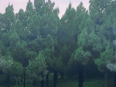 -北坞公园