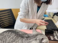 -美联众合动物医院(·中兽医·疑难杂症·严家桥分院)