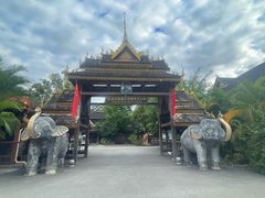 -阆辣荟餐饮(老味道8年·古城店)