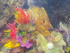 -太平洋海底世界