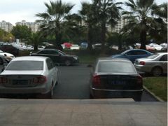 -上海中医药大学附属曙光医院(东部)