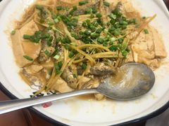 -杨记新泉美食