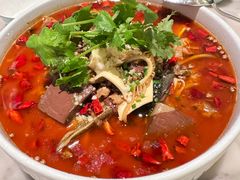 -蝶园·装修中(BFC外滩金融中心店)