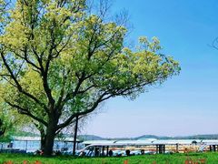 -贡湖湾湿地公园