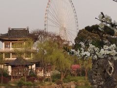 -无锡蠡湖国家湿地公园-蠡园