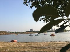 -蒲河岛湿地公园
